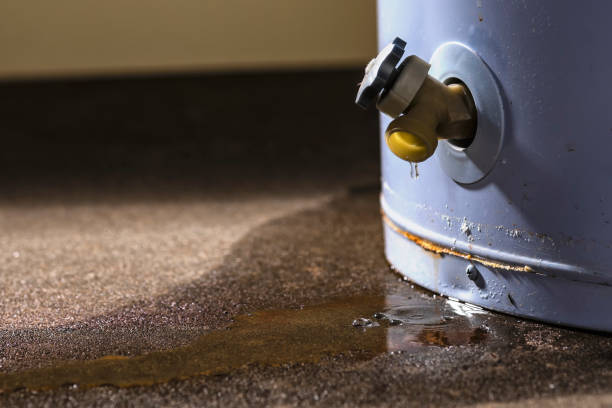 Best Commercial water damage restoration  in Brooklyn Park, MD