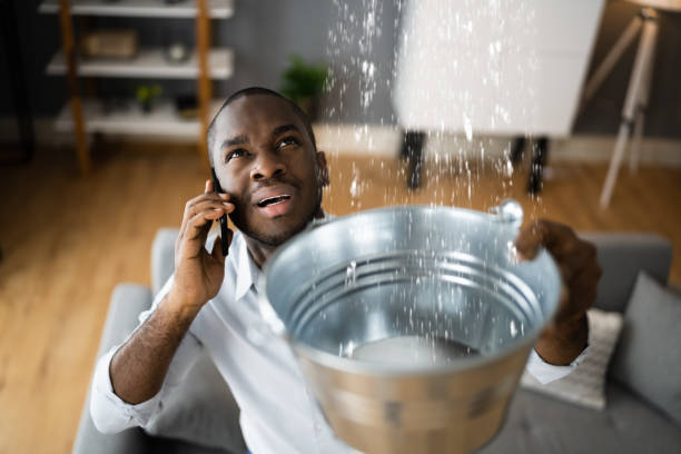 Best Local water damage restoration  in Brooklyn Park, MD