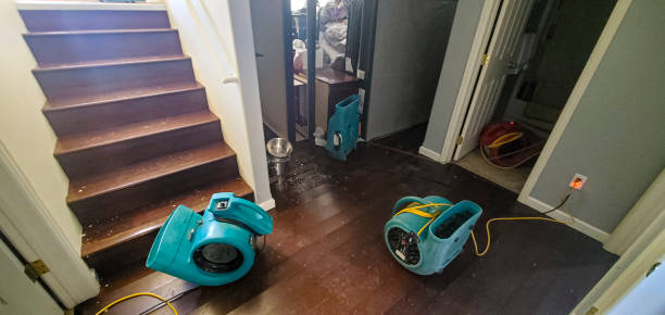 Professional Water damage restoration in Brooklyn Park, MD