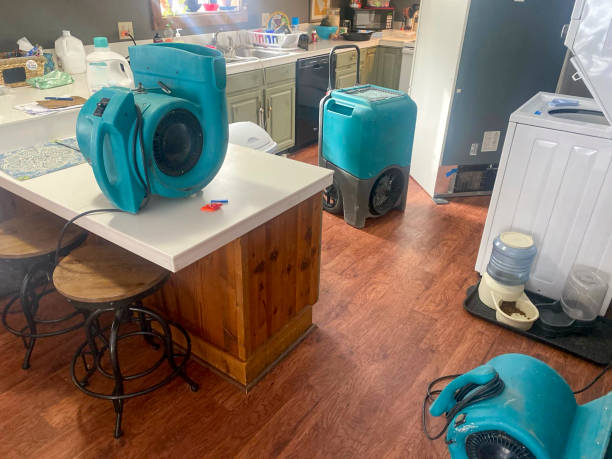 Best Residential water damage restoration  in Brooklyn Park, MD