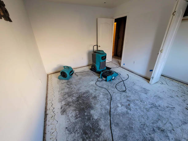 Best Water damage restoration near me  in Brooklyn Park, MD