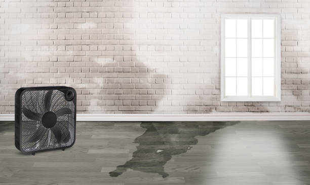 Best Water damage restoration insurance claims  in Brooklyn Park, MD