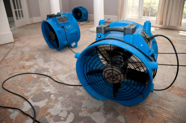 Best Mold removal after water damage  in Brooklyn Park, MD